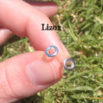 lizox-jewelry-sterling-silver-cercle-ear-studs